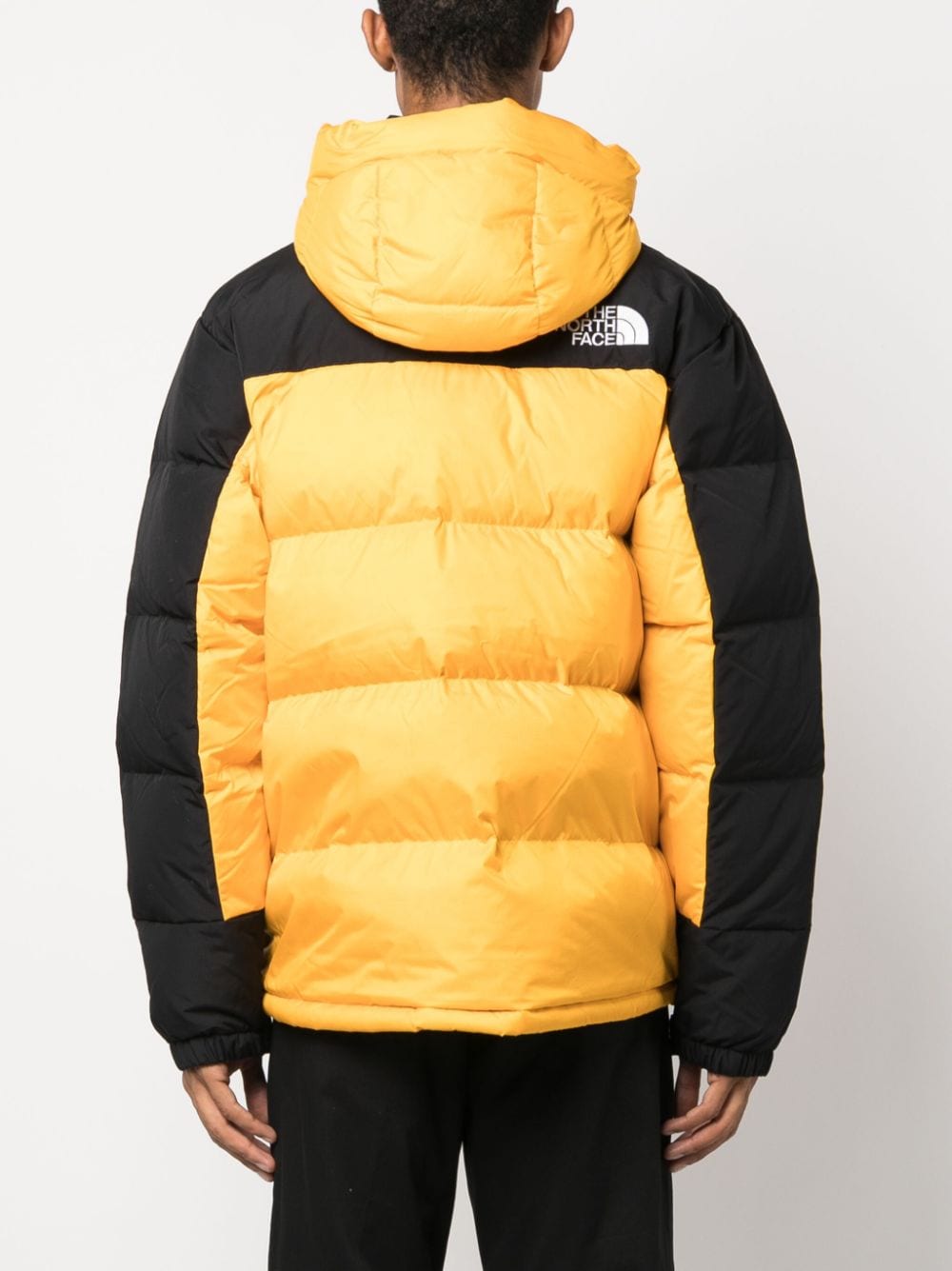The North Face NF0A4QYXZU31