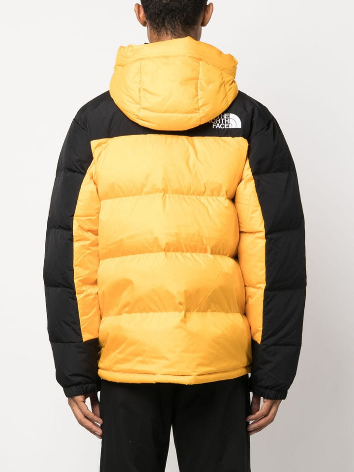 The North Face NF0A4QYXZU31
