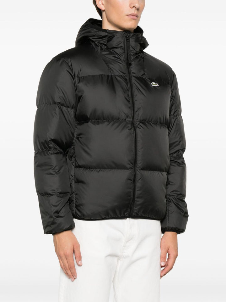 Lacoste BH2905031