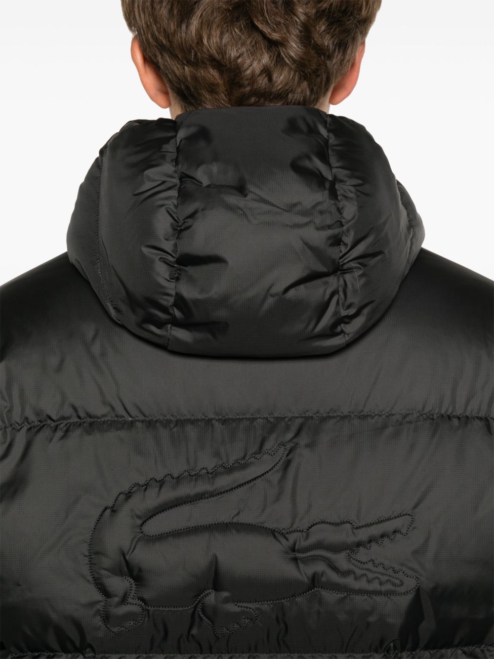 Lacoste BH2905031