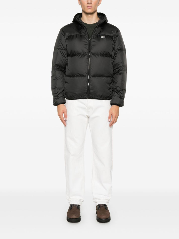Lacoste BH2905031