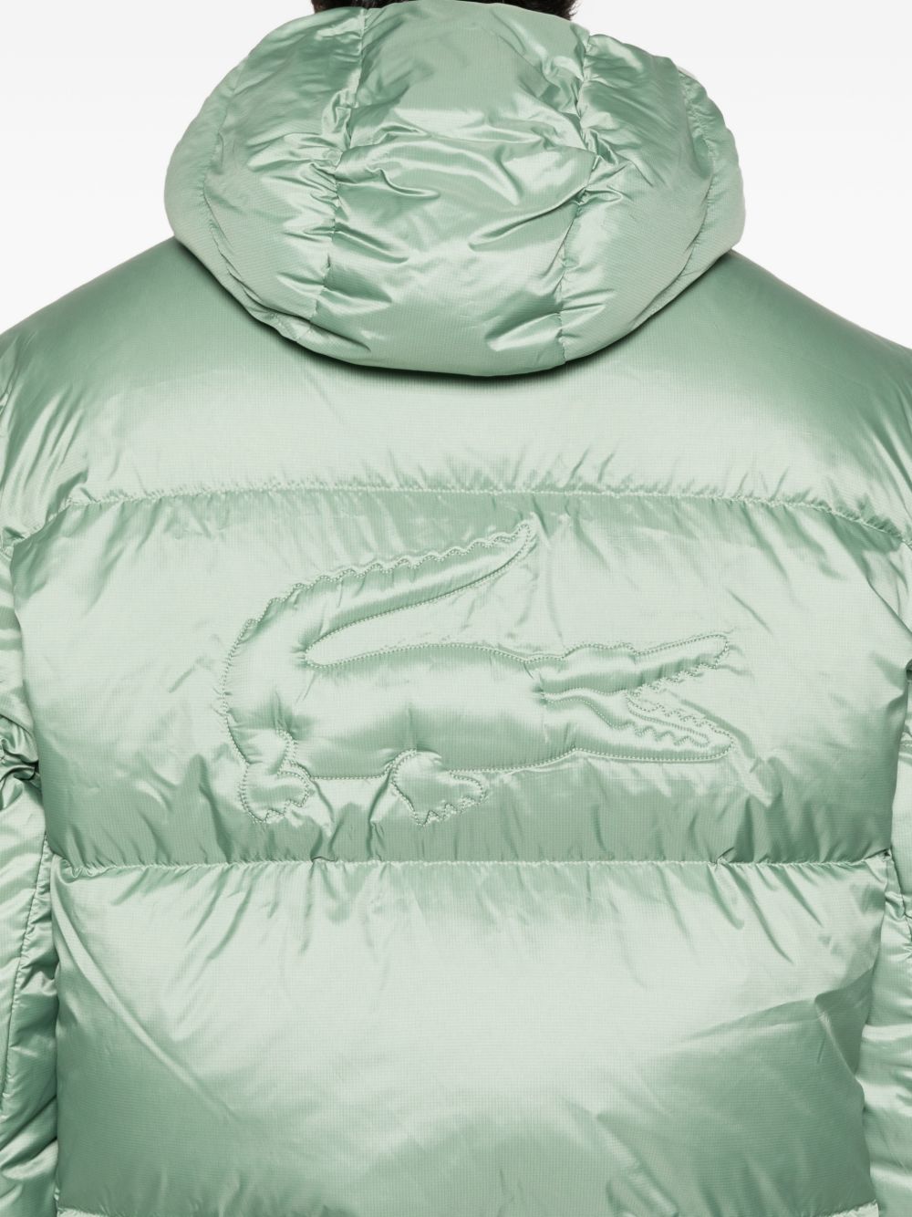 Lacoste BH2905S86