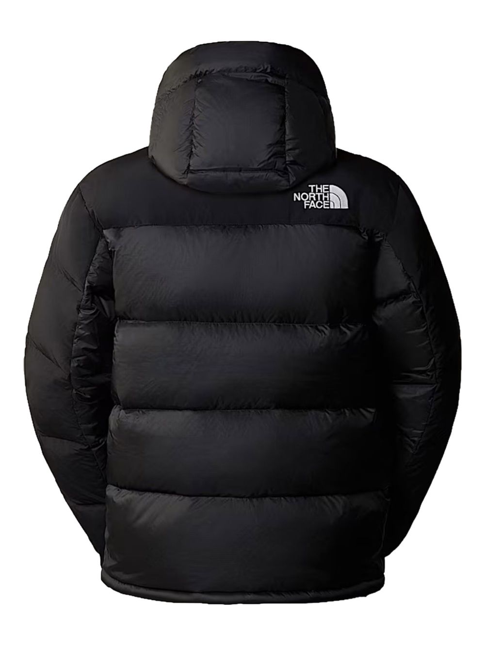 The North Face NF0A4QYXGOF1