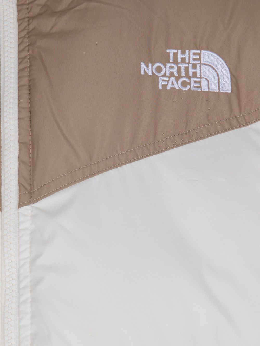 The North Face NF0A853IDHS1