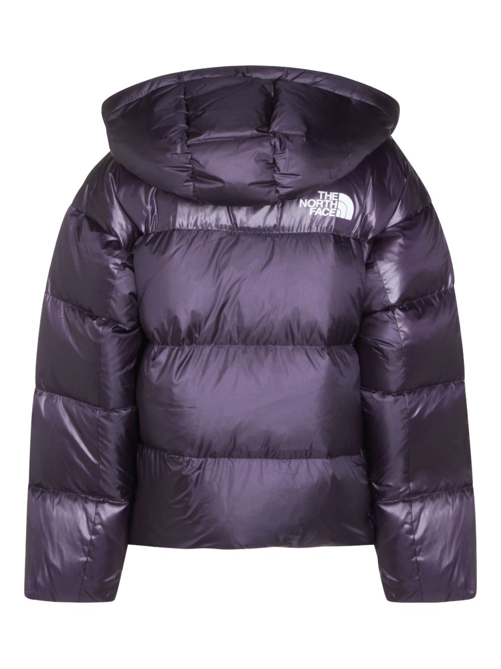 The North Face NF0A8DQB1JI1
