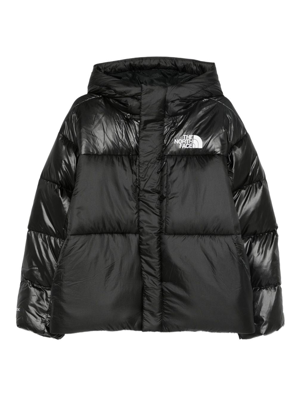 The North Face NF0A8DQBJK31