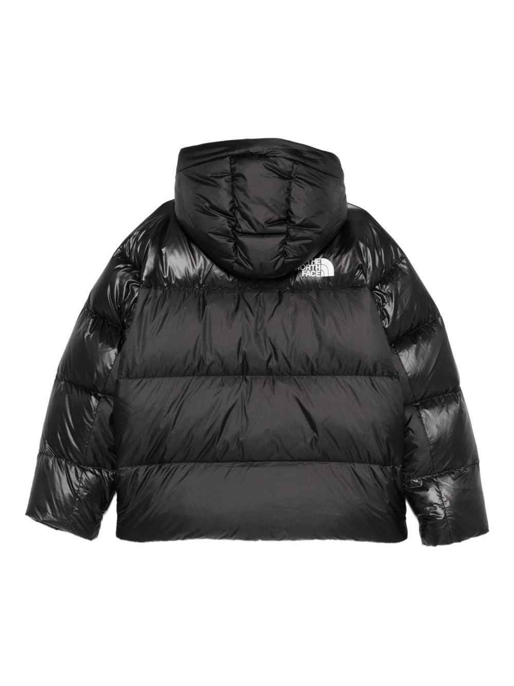 The North Face NF0A8DQBJK31