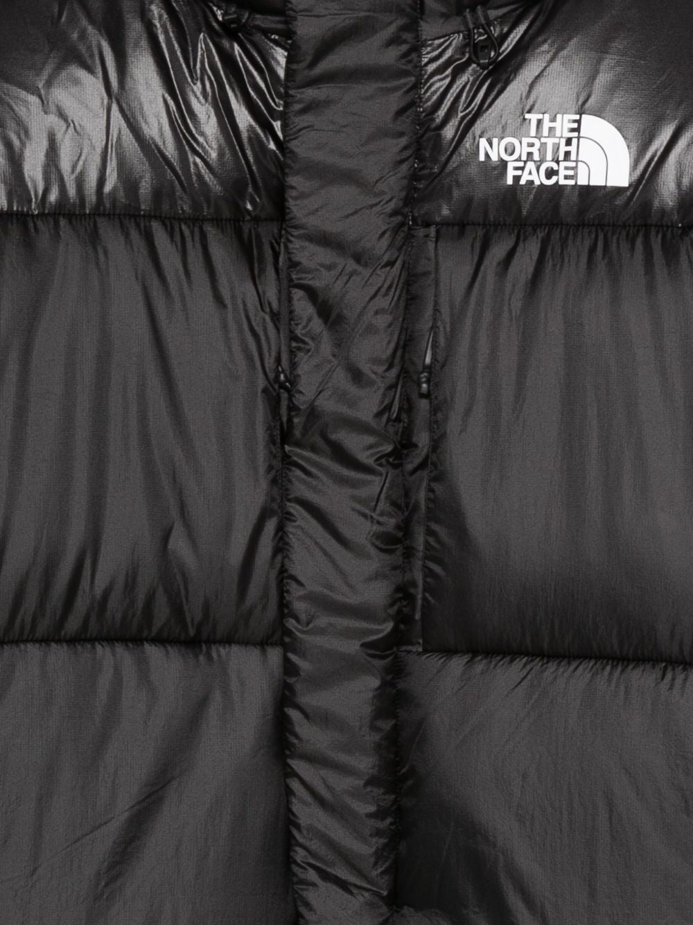The North Face NF0A8DQBJK31