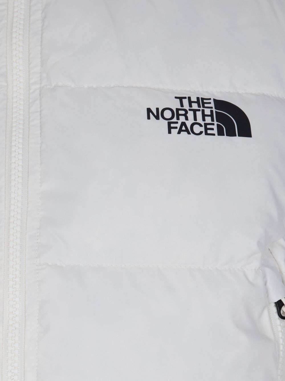 The North Face NF0A8E75QLI1
