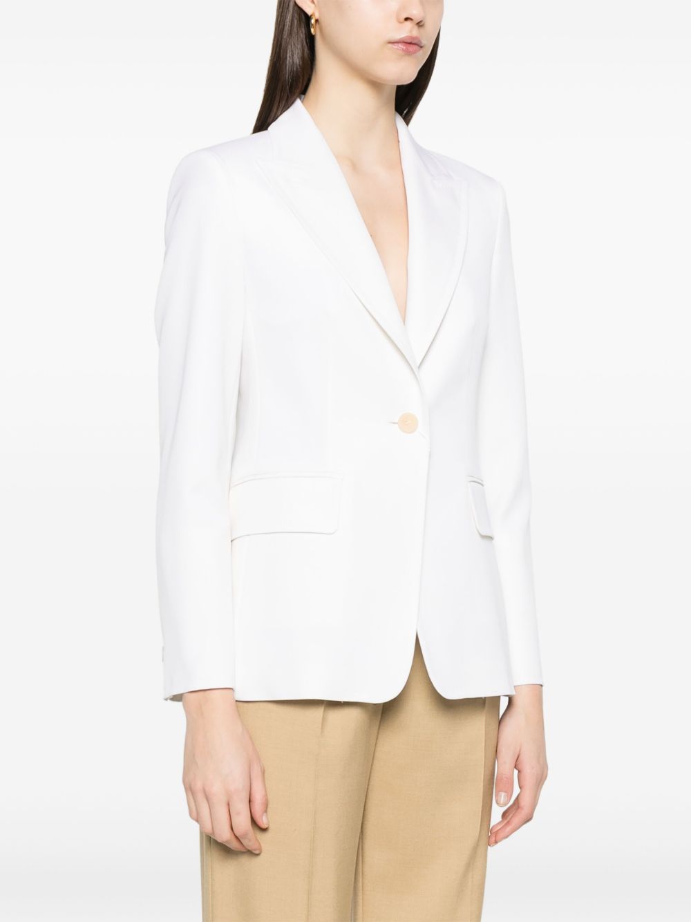 Max Mara PRIMAVERA PALCHI 2511041021600001