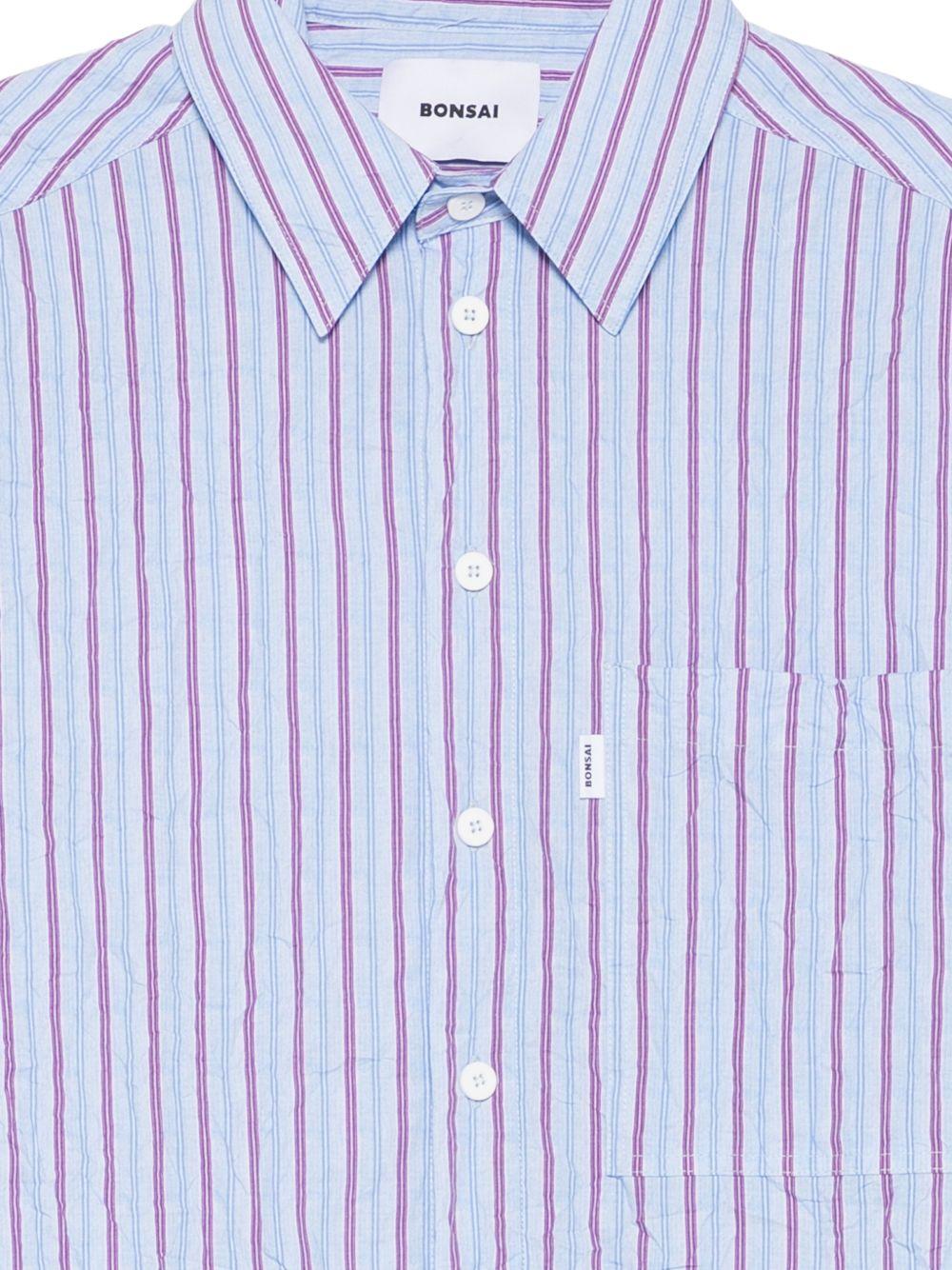 Camicia azzurro polvere botton down 
